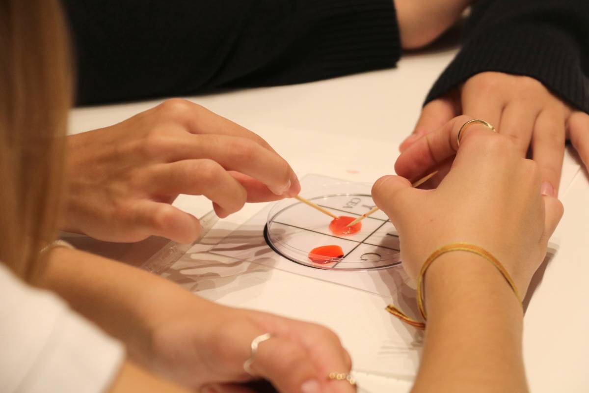 Els futurs científics de Lleida es posen la bata: 850 alumnes d’ESO experimenten amb la recerca biomèdica
