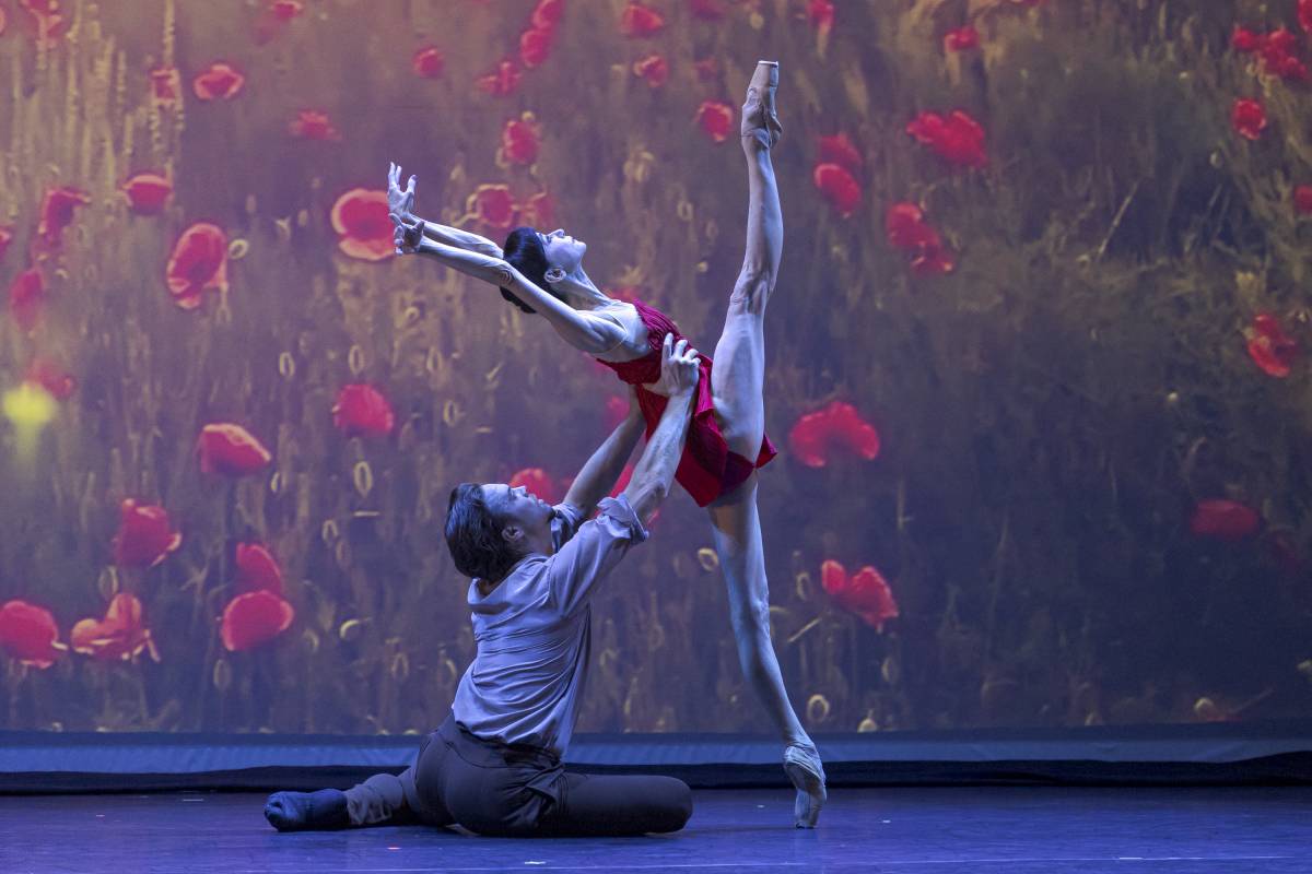 Dansa lírica i melancòlica