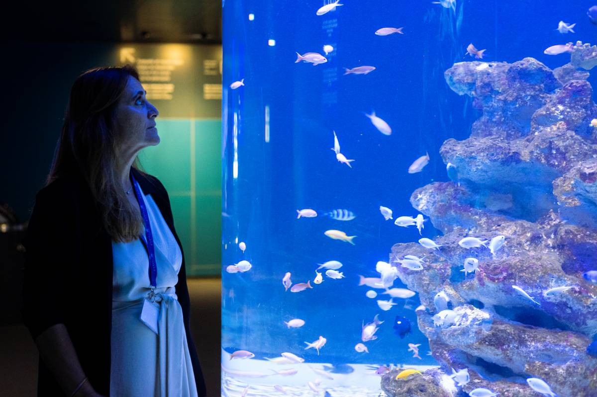 «La renovació de L'Aquàrium el fa més sostenible, modern i amb més cura dels escosistemes»