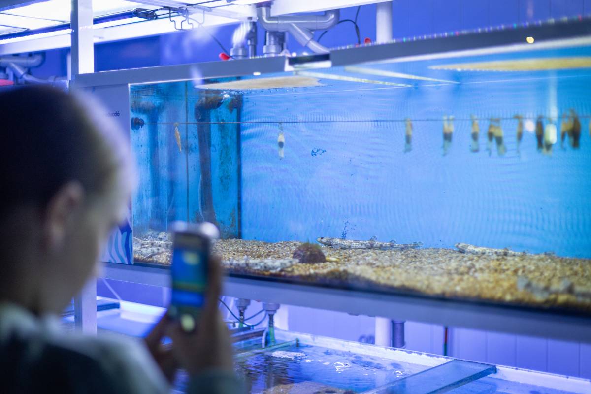 Maria José Peretó García  Directora de l`Aquarium Barcelona