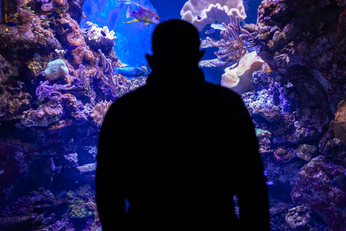 Maria José Peretó García  Directora de l`Aquarium Barcelona