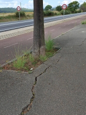 “La ruta del colesterol té trams en mal estat”