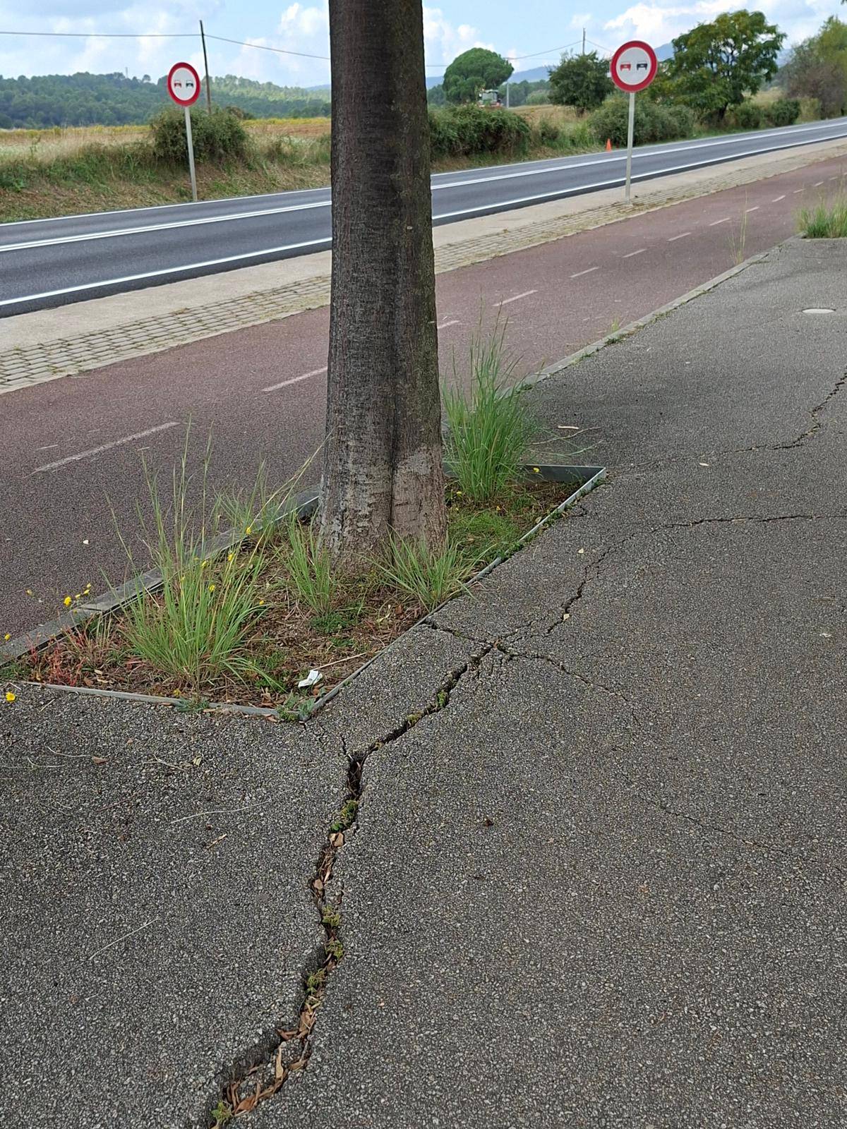 “La ruta del colesterol té trams en mal estat”