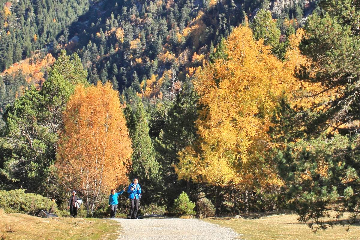 Vall de Boí - Vall de Boí Vall de Boí