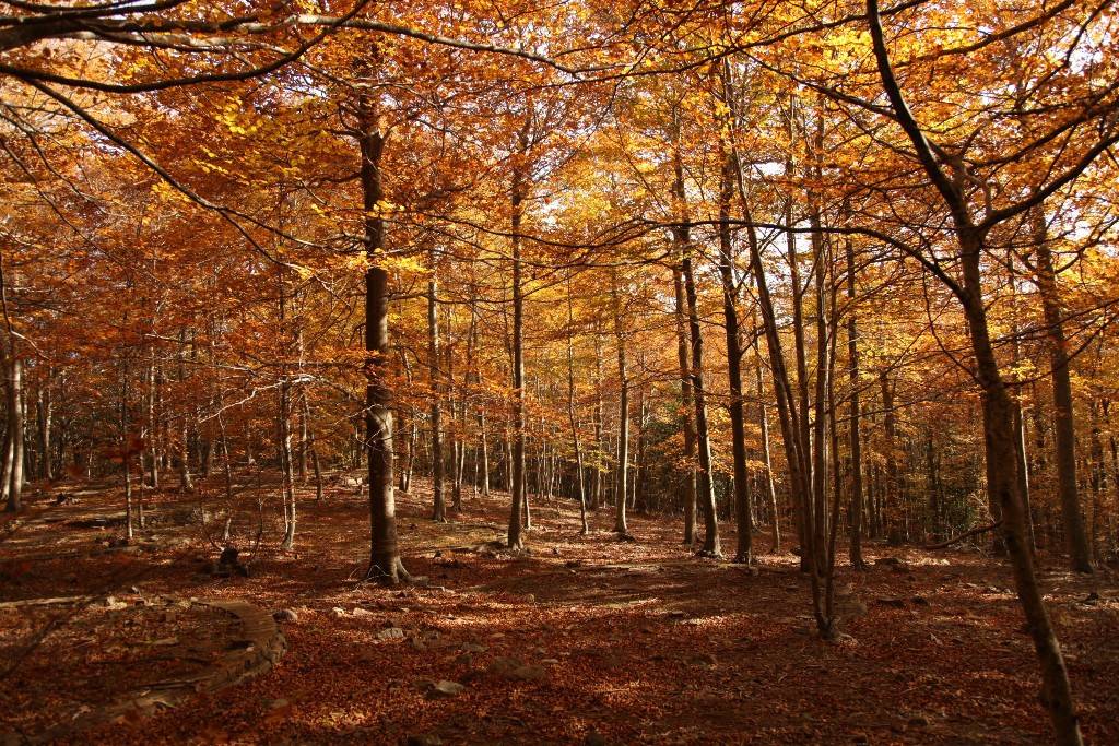 Montsec Foto - Catalunya Press Montsec Foto