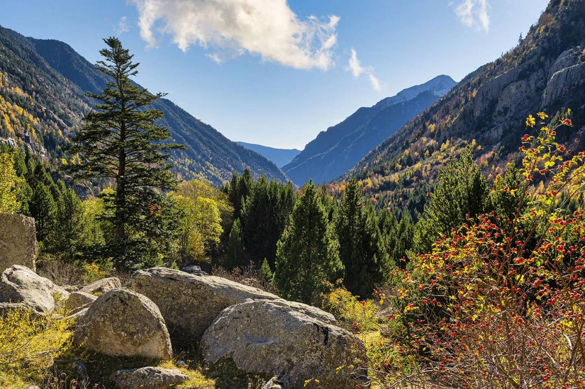 Vall de Boí - Vall de Boí Vall de Boí