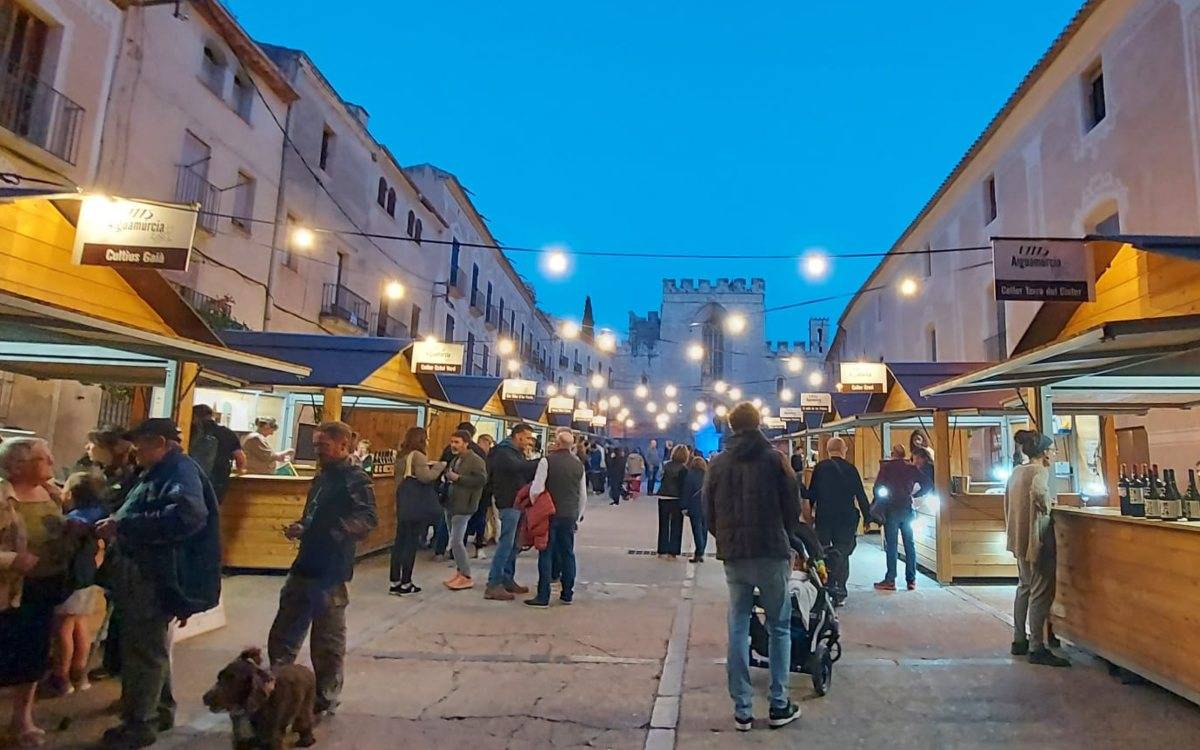 Aiguamúrcia celebra la 5a edició del Vitis amb vi, música i cultura