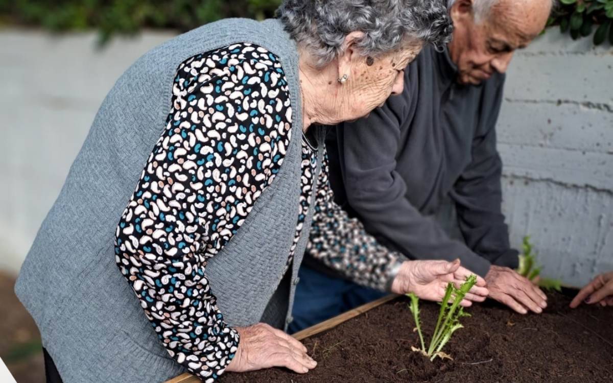 El Centre de Dia d’Alcover, primer centre en participar en el programa Slow Food Educa