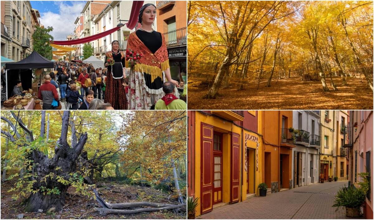 Quatre plans per aquesta tardor al Montseny