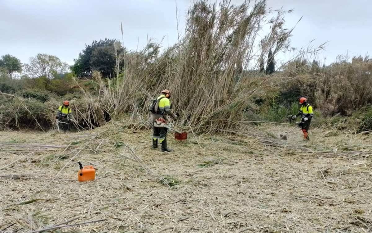 La Diputació de Tarragona atorga 239.716,36 euros a 9 entitats que donen feina a persones amb necessitats d’inclusió