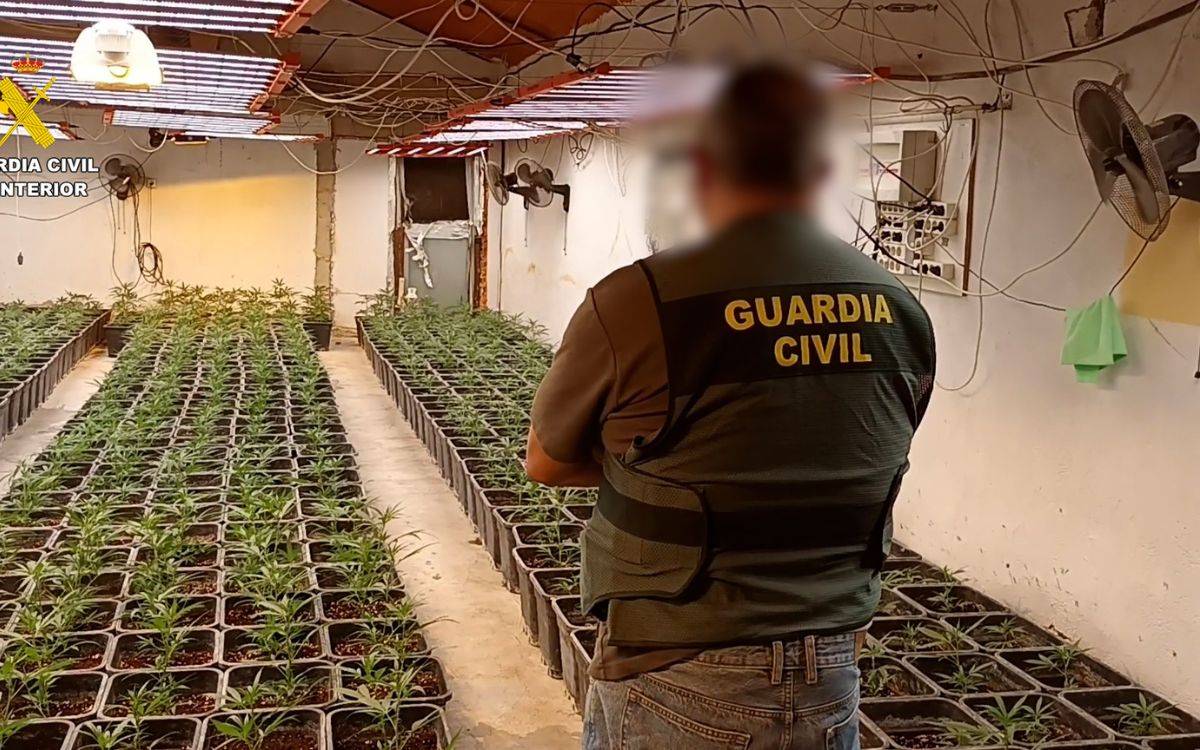 Desarticulen un grup criminal a Tarragona dedicat al tràfic de drogues i la logística de narcollanxes