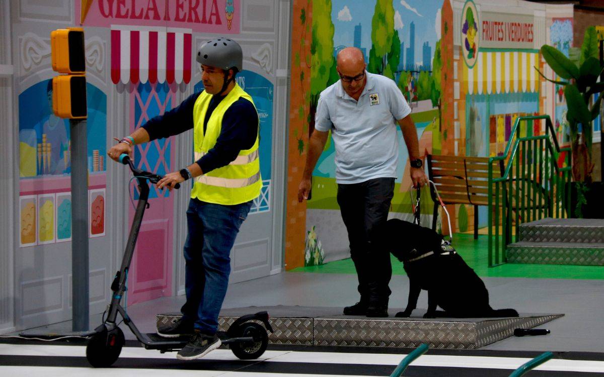 L'ONCE anuncia a Reus que treballa per reduir la llista d'espera per accedir a un gos pigall