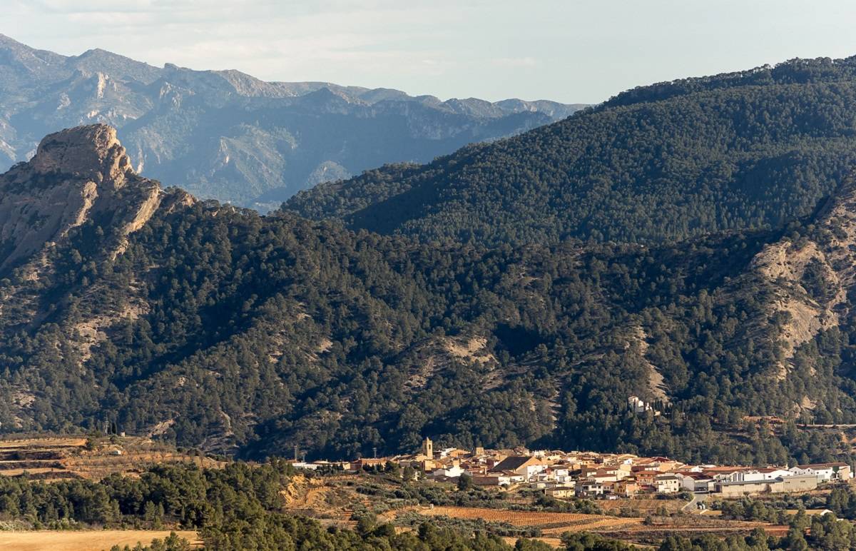 Bot dedicarà el Cicle Estacions de Tardor a la memòria històrica i al record de la Guerra Civil