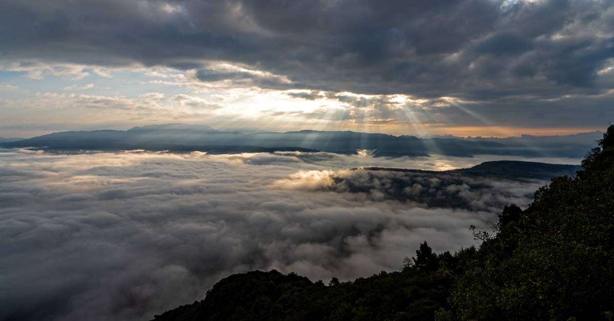 El temps d'aquest divendres 31 d'octubre de 2025: boires i cel enteranyinat