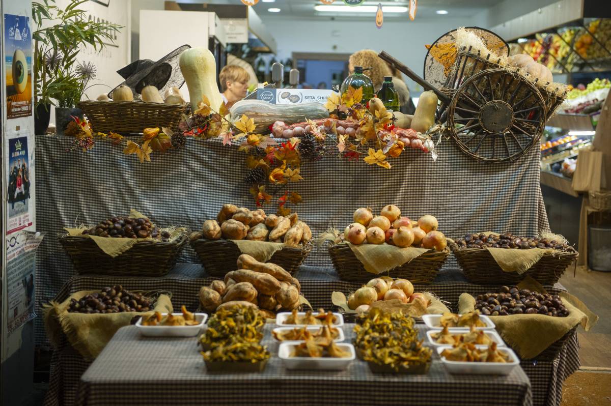 Uns consells per a la teva millor Castanyada