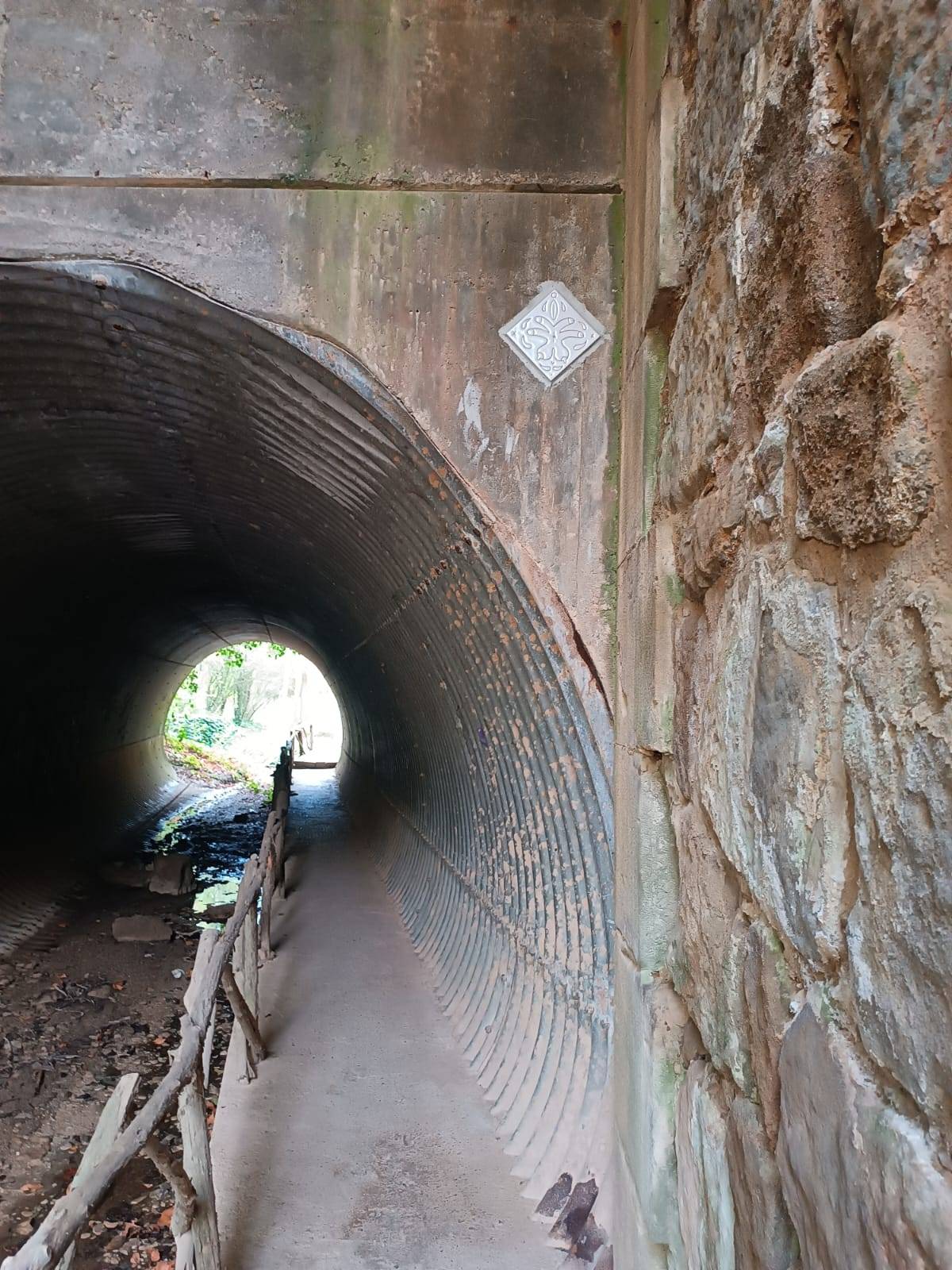 Les rajoles curioses - Arxiu particular  Les rajoles curioses