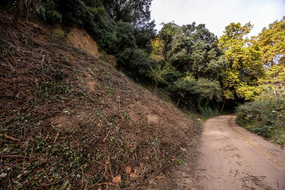 El camí de riu Ripoll - Juanma Peláez El camí de riu Ripoll
