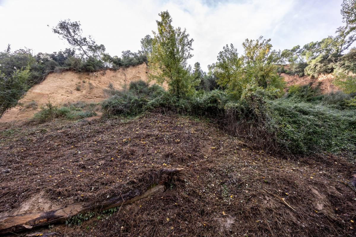 El camí del riu Ripoll - Juanma Peláez El camí del riu Ripoll