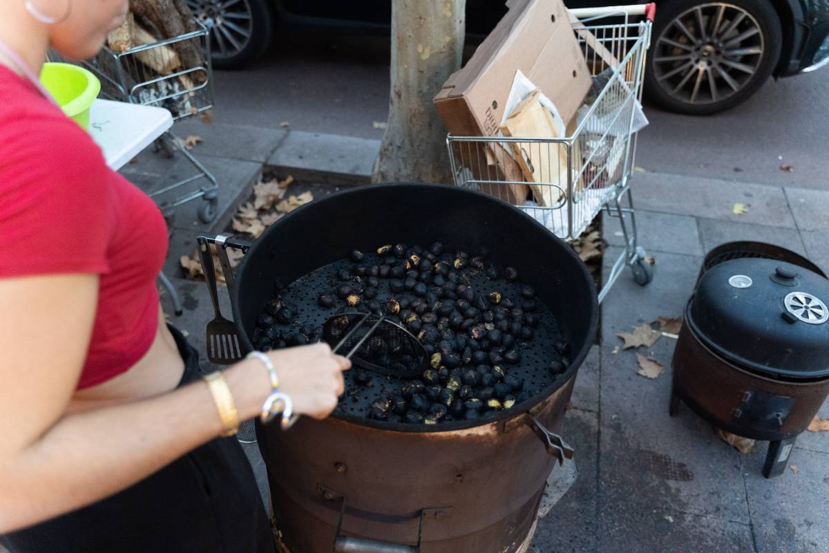 Detall de les castanyes - DAVID CHAO Detall de les castanyes