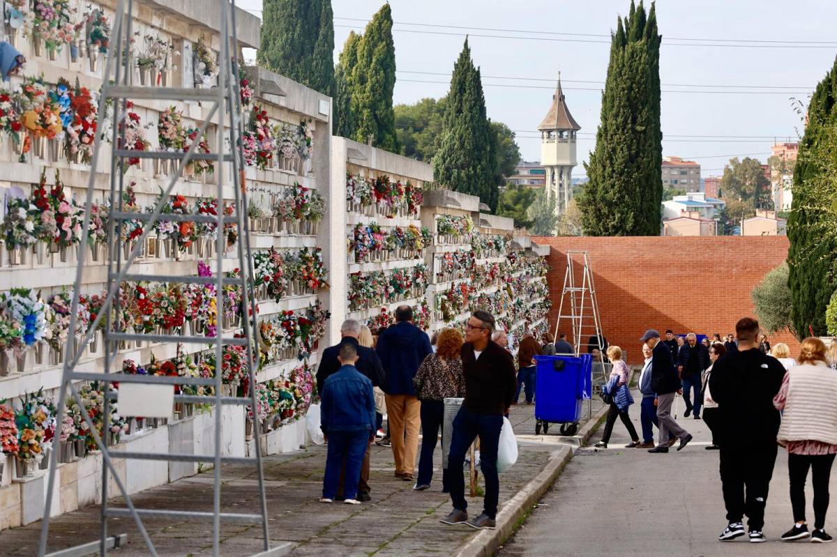 Les arrels del record floreixen a Tots Sants