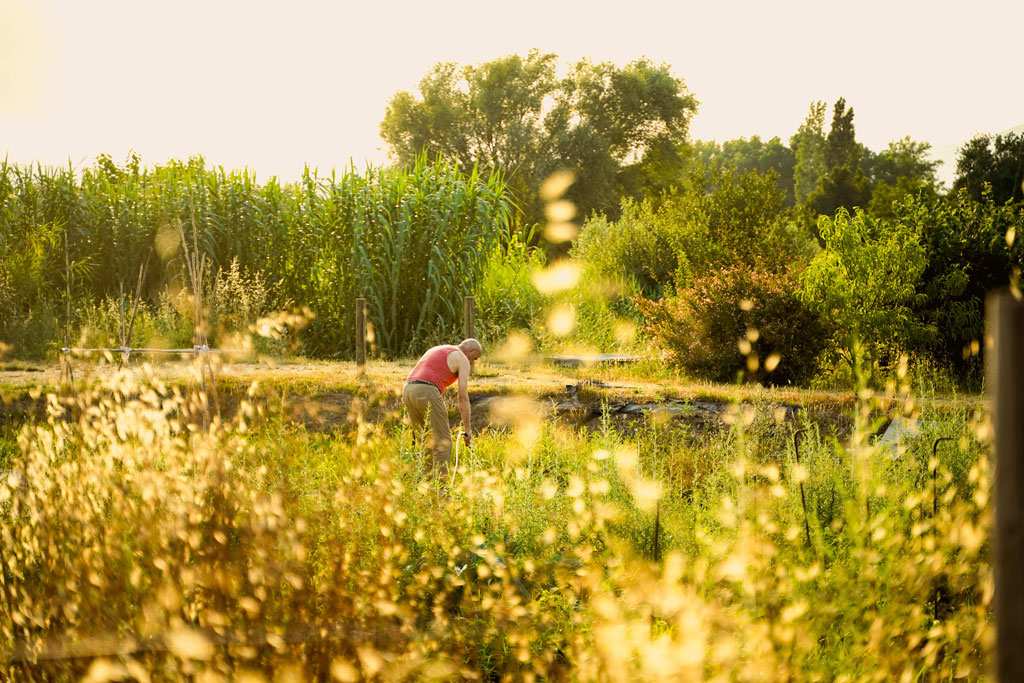 Les sol·licituds poden presentar-se fins al divendres 2 de gener de 2026. - 