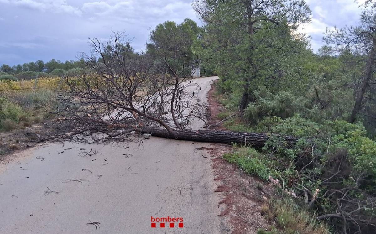 Els bombers han atès un total de 20 avisos a les Terres de l'Ebre