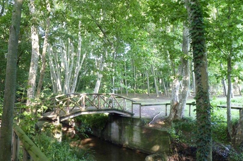 Unes jornades tractaran la història de l'aigua a Palautordera