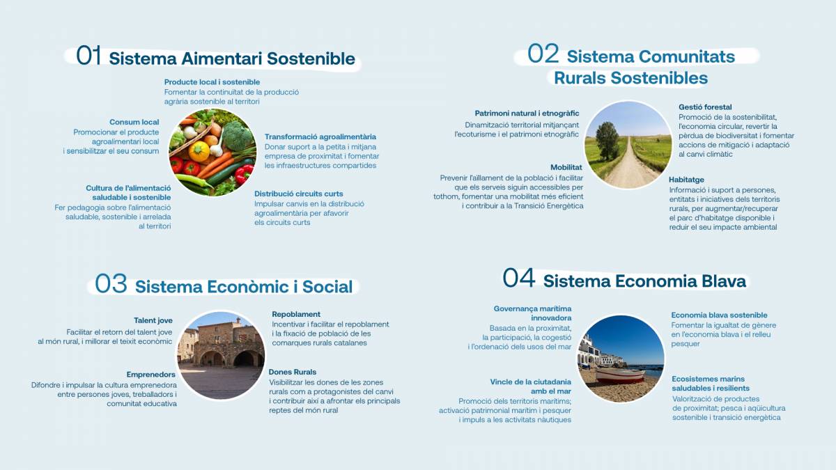 Els quatre sistemes de treball que estructuren les estratègies dels grups