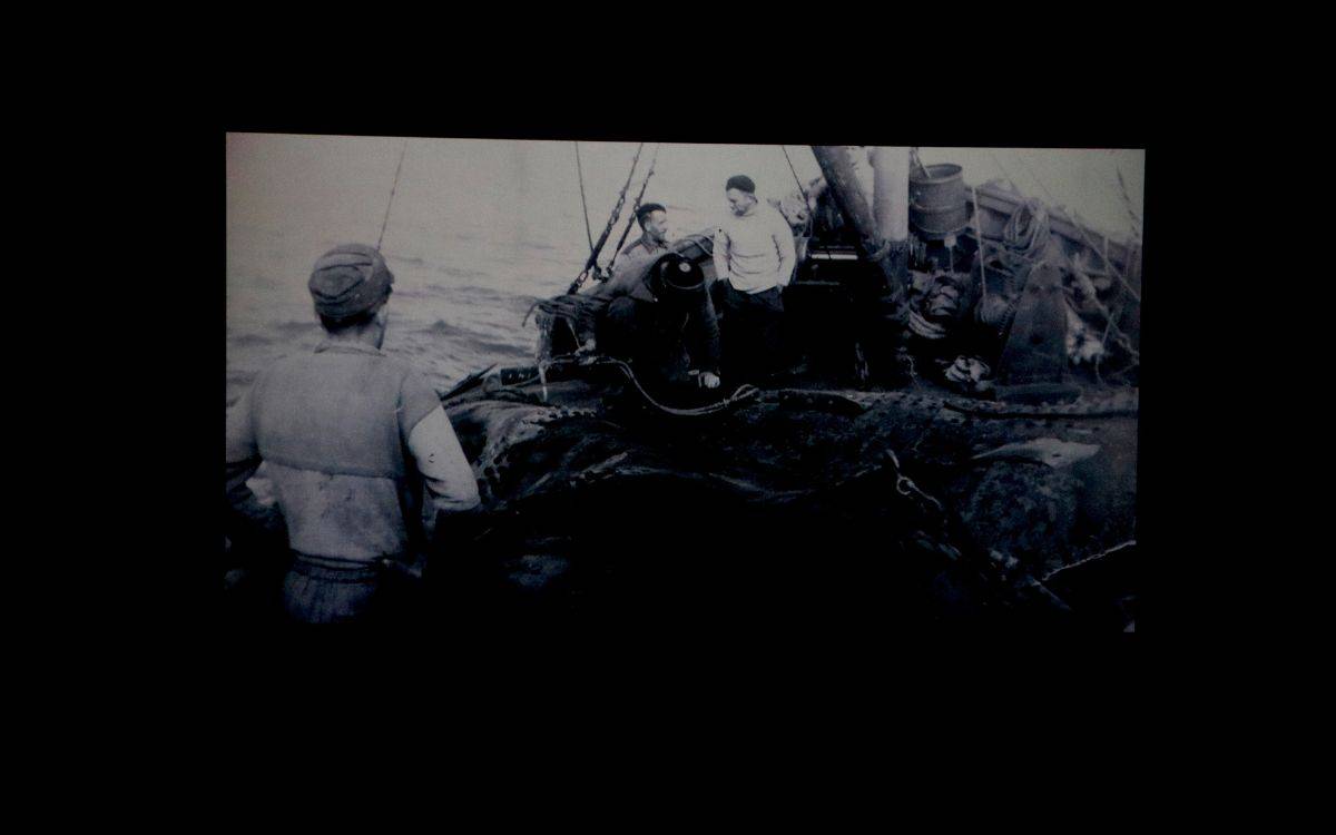 Naufragis, bussos i homes rana - Arnau Martínez / ACN Naufragis, bussos i homes rana