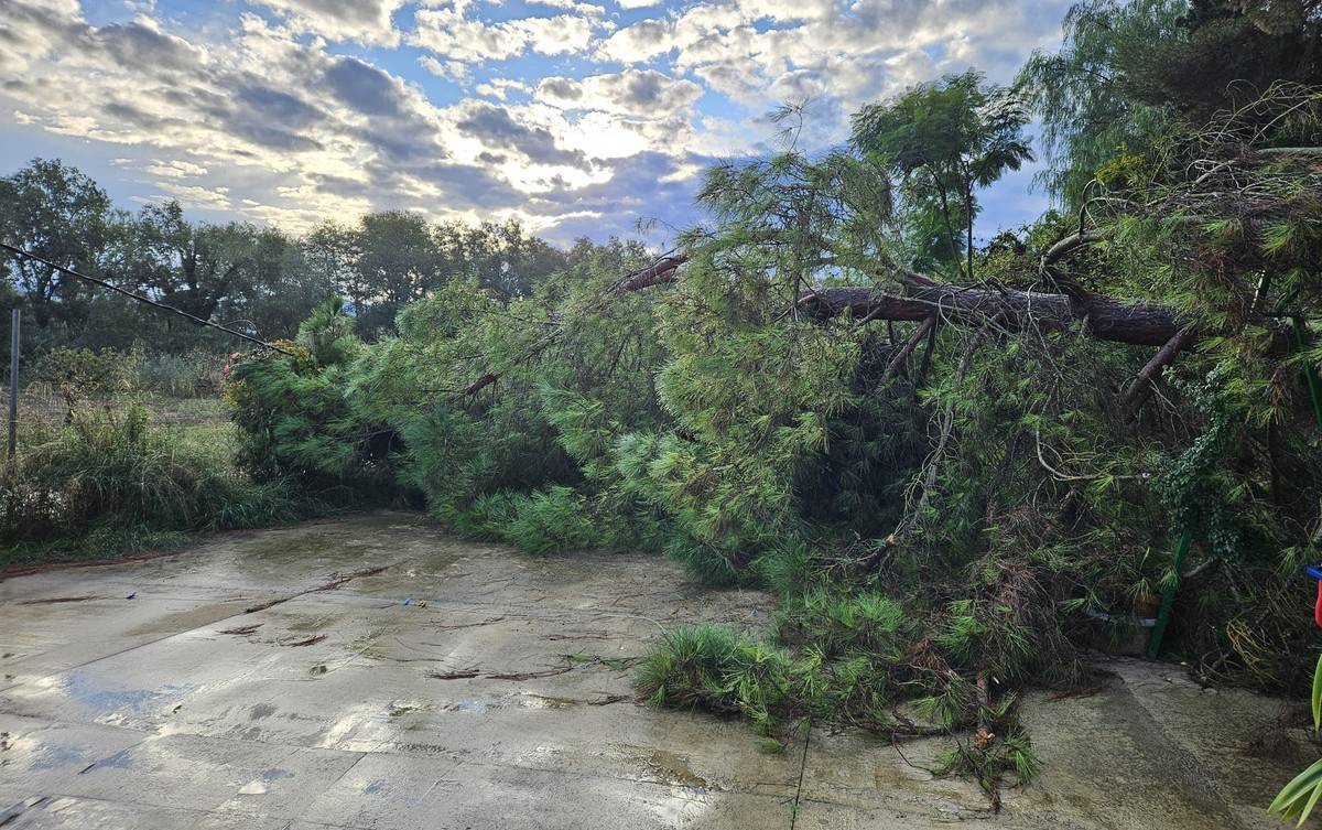 Les fortes pluges d'esta matinada deixen incidències a Móra d'Ebre