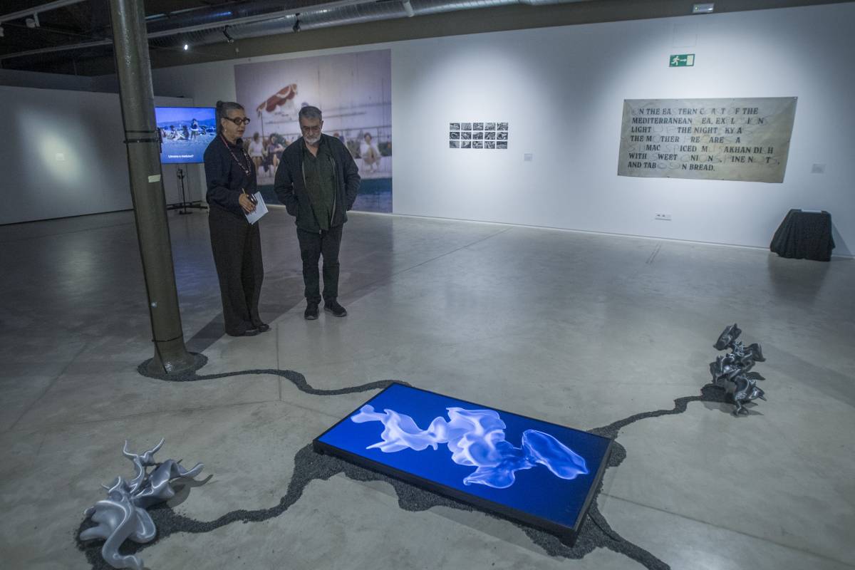 Instal·lació inclosa a la mostra - Nebridi Aróztegui