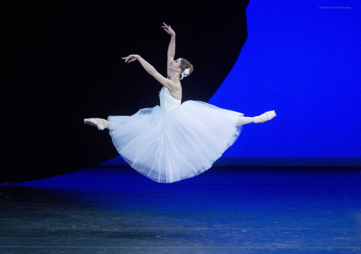 Gran gala internacional de dansa a Terrassa