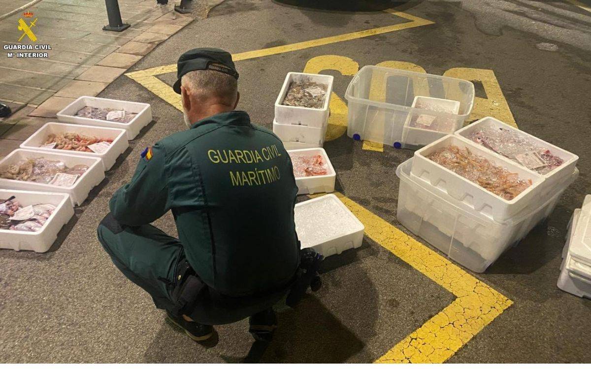 La Guàrdia Civil intervé 15 quilos de peix sense traçabilitat en un control a la llotja de Tarragona