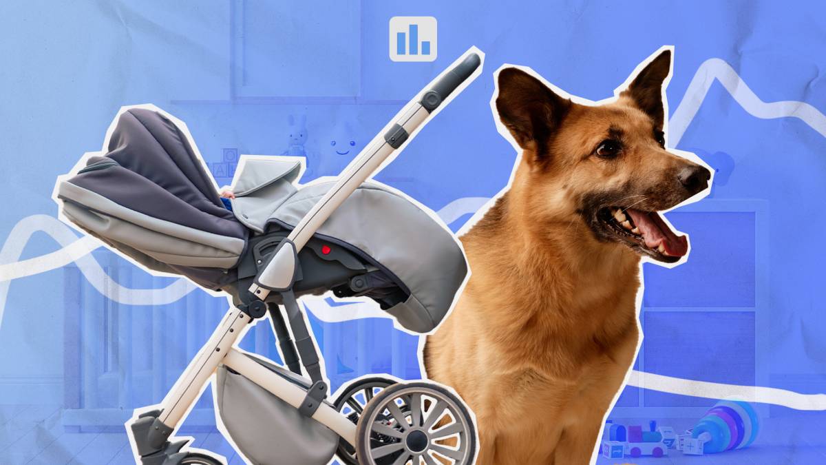 Catalunya inscriu el doble de mascotes que nadons des de la pandèmia