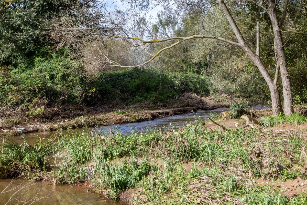 L'impuls definitiu del Ripoll? 