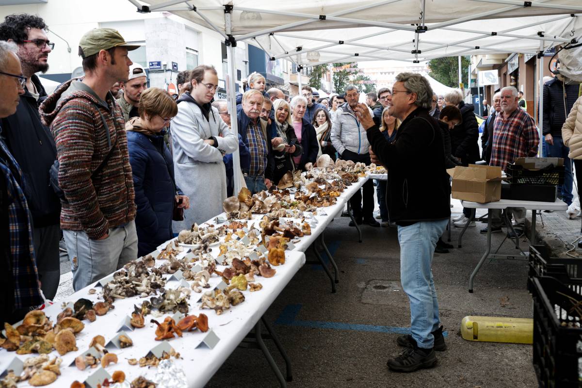 FOTOS | XIX Fira del Bolet del barri de Sant Pere de Terrassa