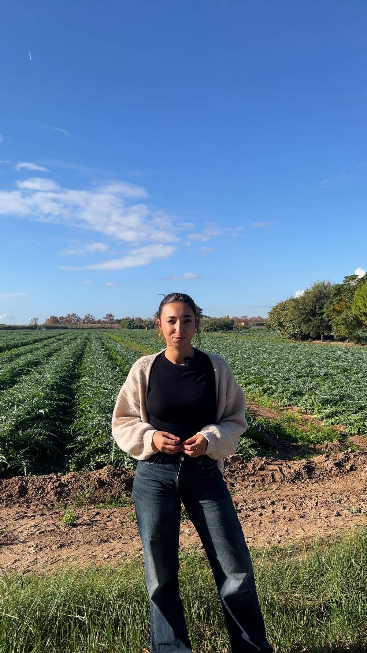 Camp de carxofes del Baix Llobregat  - Gemma Climent