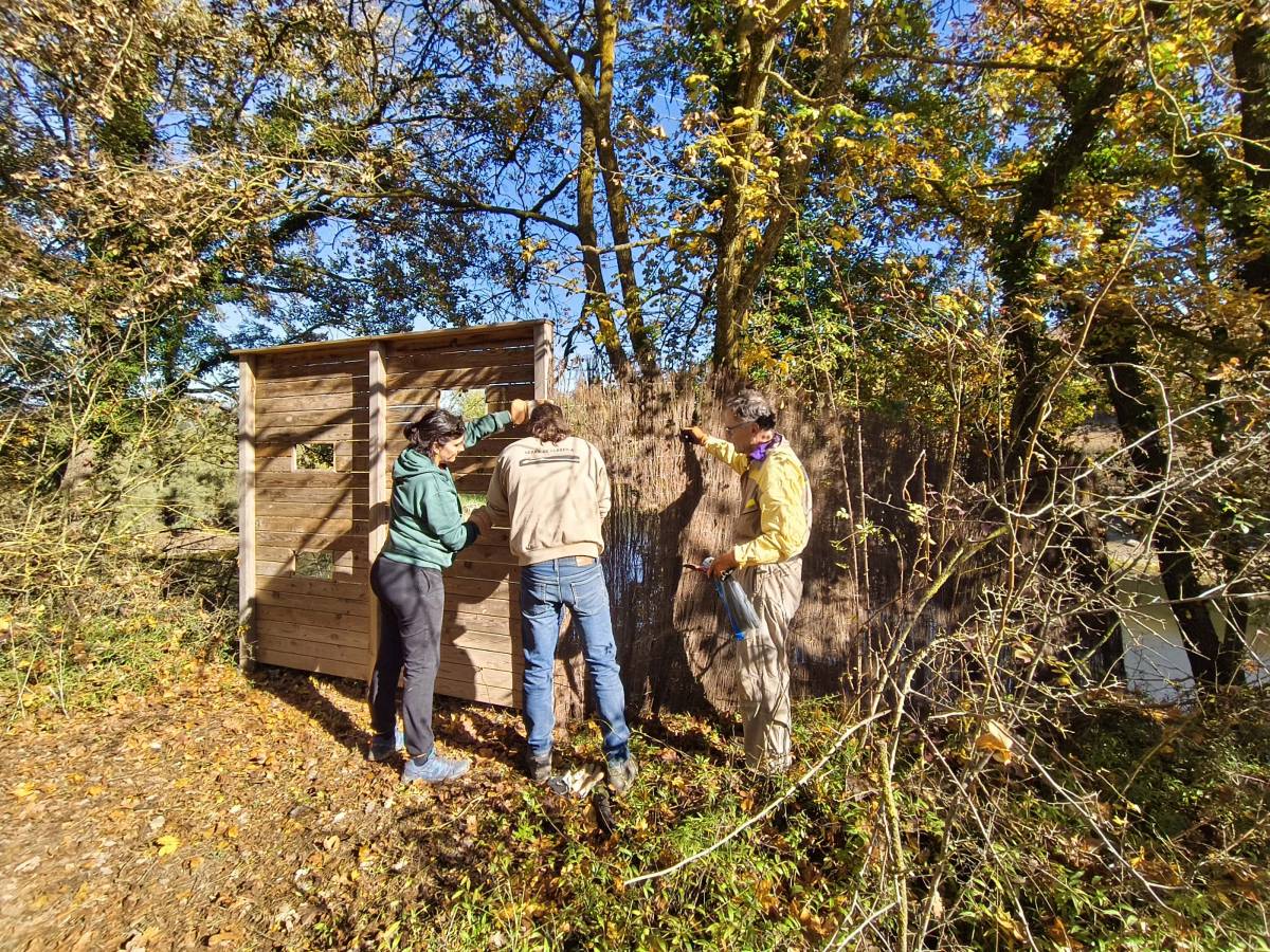 Jornada de voluntariat ambiental a la bassa del Miracle  - Samara Natura 