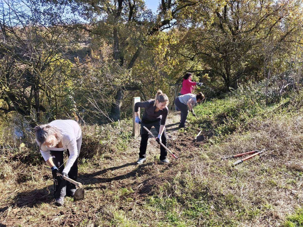 Jornada de voluntariat ambiental a la bassa del Miracle  - Samara Natura 