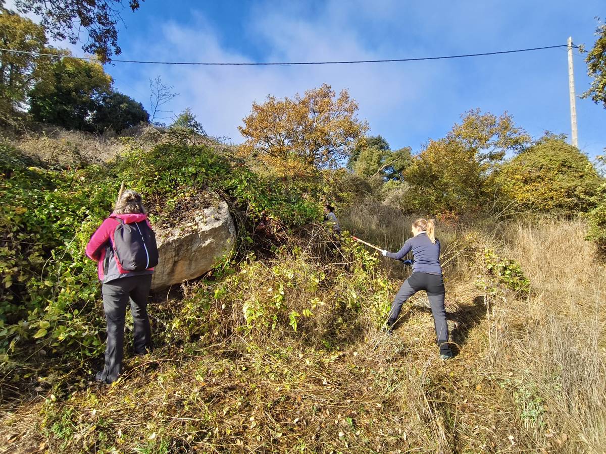Jornada de voluntariat ambiental a la bassa del Miracle  - Samara Natura 