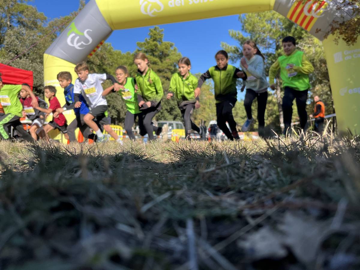 Cross escolar al Pi de Sant Just - 