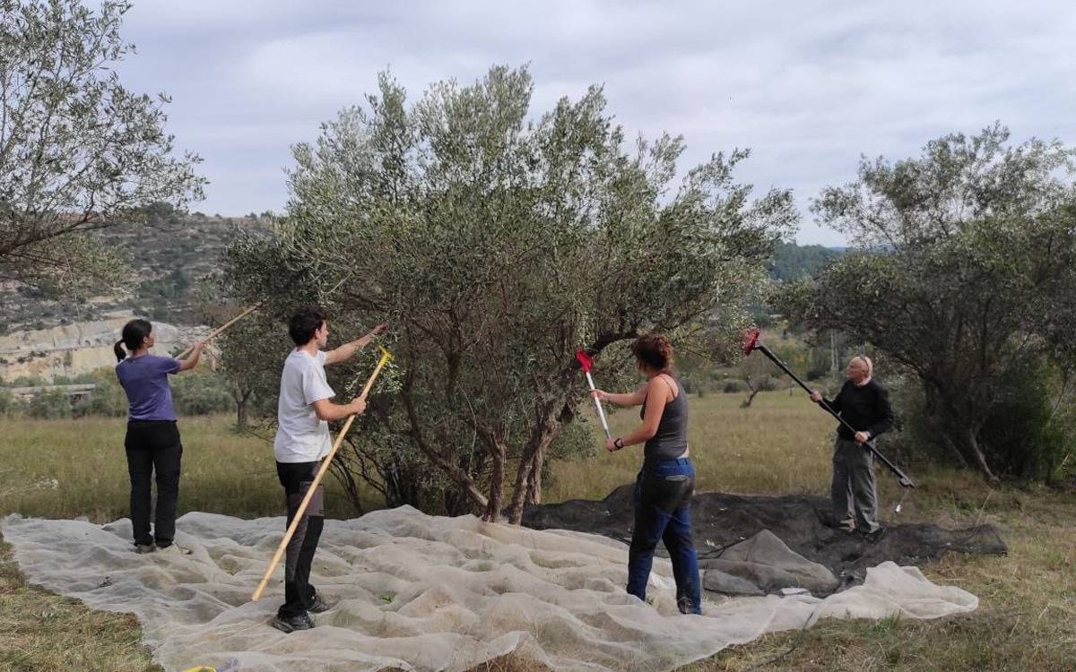 El col·lectiu manresà Entre Feixes guanya el Premi Emprius 2025 per la seva proposta de gestió comunal