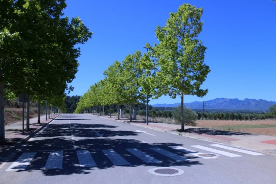 Pas decisiu per impulsar la gigafactoria europea d’IA a Móra la Nova amb 719 milions d’inversió estatal
