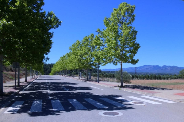 Grups ecologistes critiquen l'opacitat en el projecte de gigafactoria d'IA a Móra la Nova