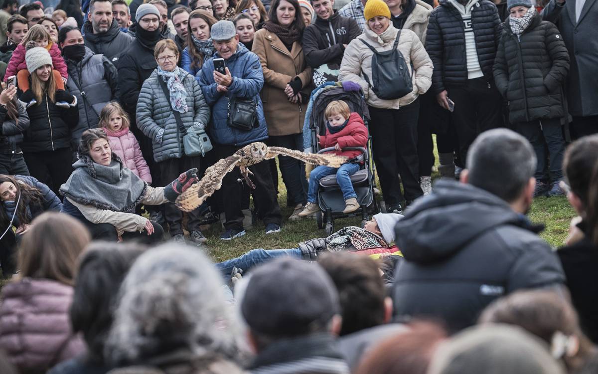 Mercat Medieval de Vic 2024.