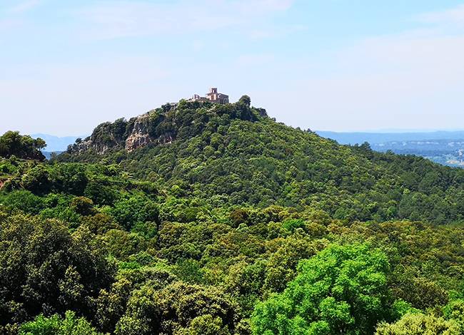 Fauna, clima i vegetació a XI Trobada d'Estudis del Montseny