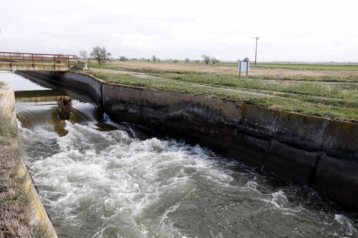 Unió de Pagesos demana ajornar la votació sobre la modernització del canal d'Urgell