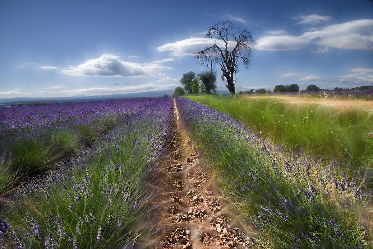 La mostra romandrà a LaFACT fins al 6 de gener del 2026 - Àngel Arcega La mostra romandrà a LaFACT fins al 6 de gener del 2026