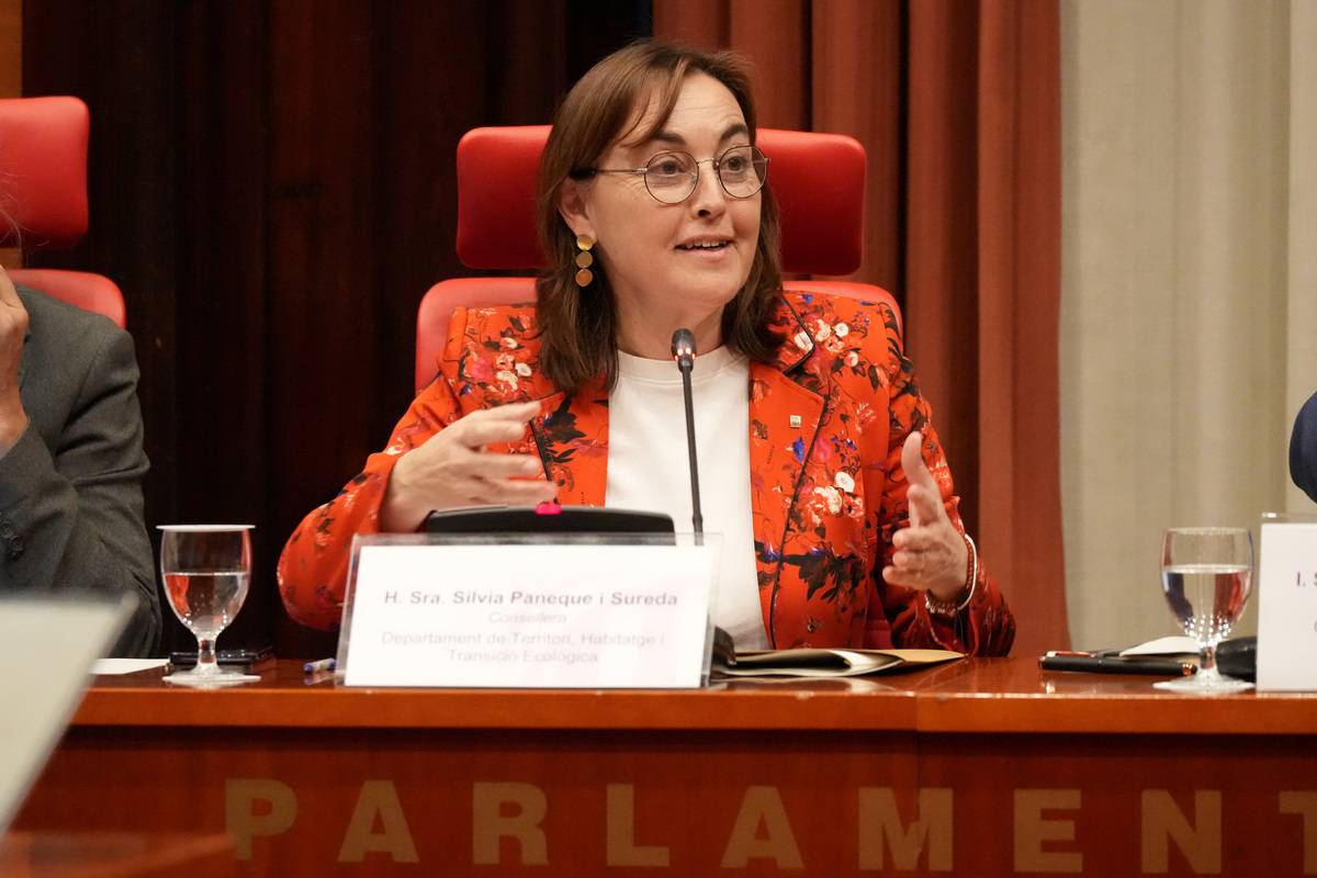 El Govern prioritzarà algunes actuacions previstes a les Terres de l'Ebre per reduir el risc d'inundacions