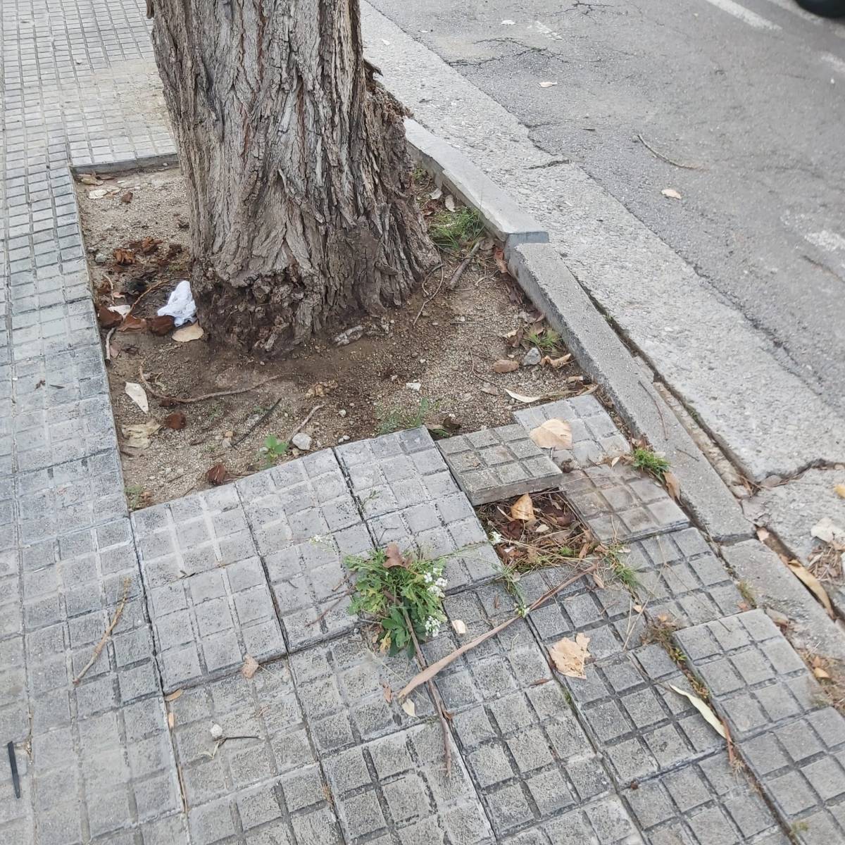 Avinguda d`Arraona - Daniel Alonso Oria Avinguda d`Arraona